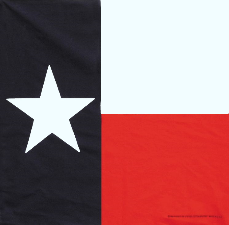 (image for) Bandanna Texas Flag 22" x 22"